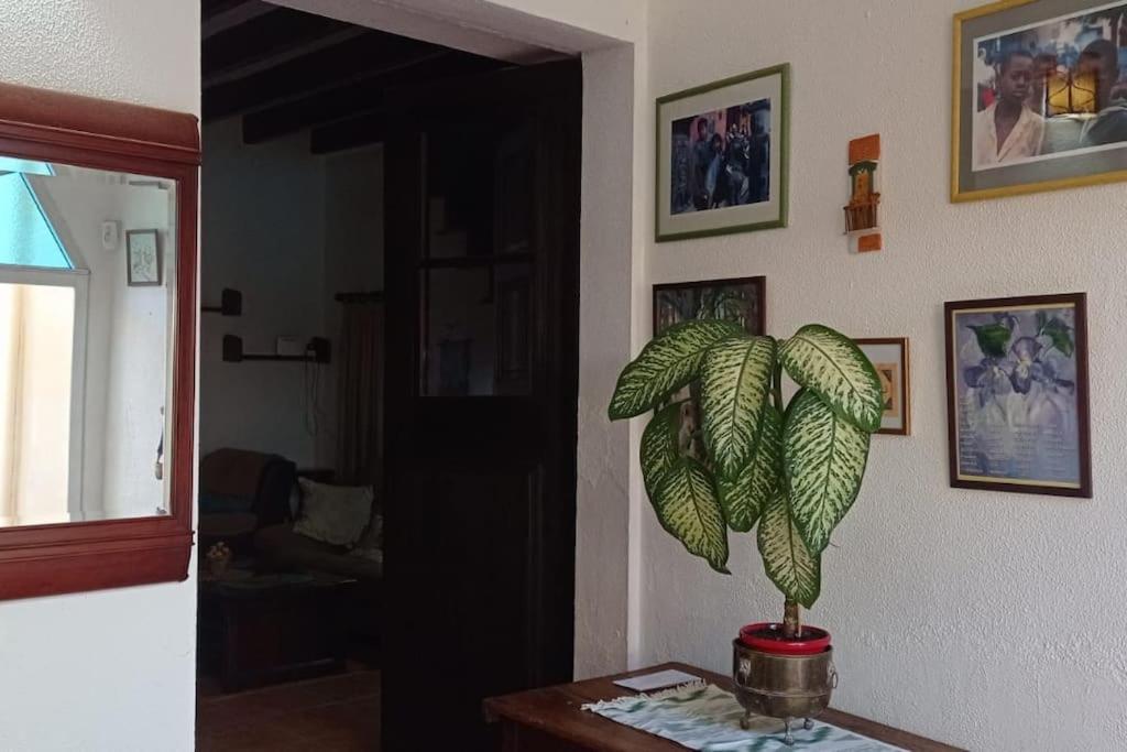 Vila Ca Na Perereta Sencelles Exteriér fotografie
